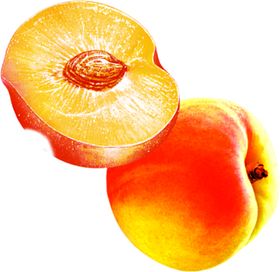 桃子