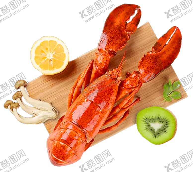 编号：69855905140203006705【酷图网】源文件下载-龙虾