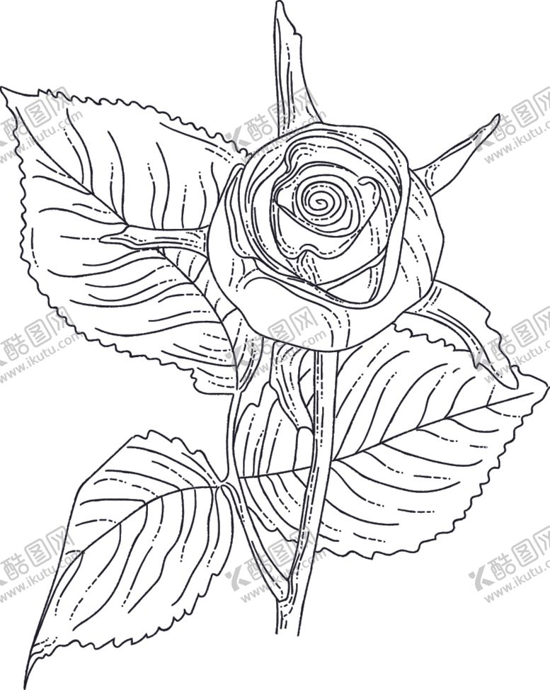 编号：37768311012041334083【酷图网】源文件下载-线稿图绘画植物花朵