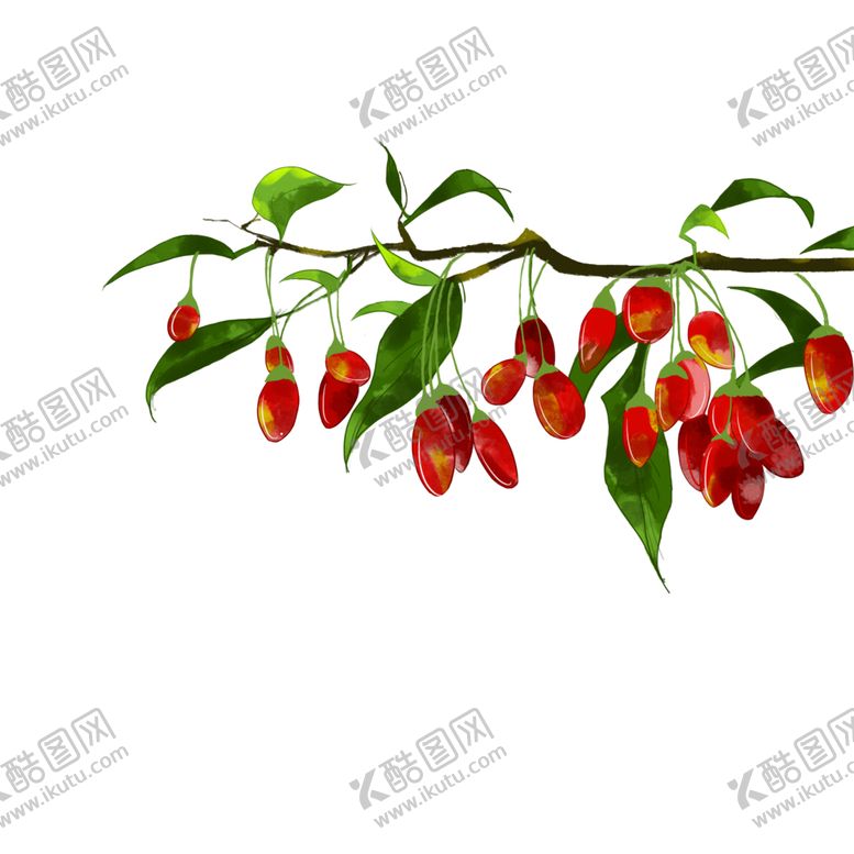 编号：60337009261351169352【酷图网】源文件下载-枸杞