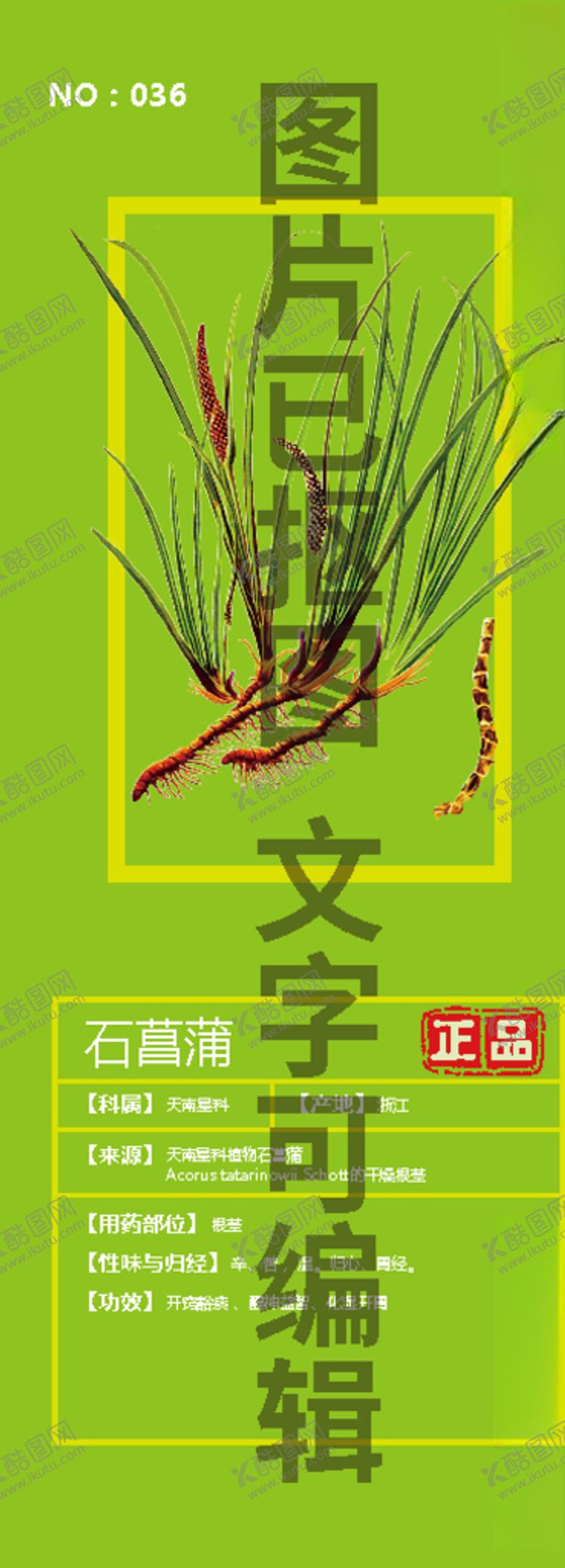 编号：49463505190249098755【酷图网】源文件下载-石菖蒲