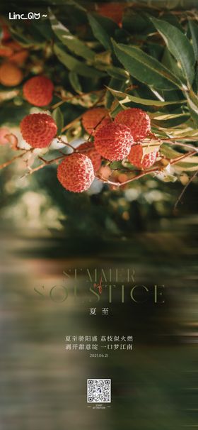 夏至荔枝节气海报