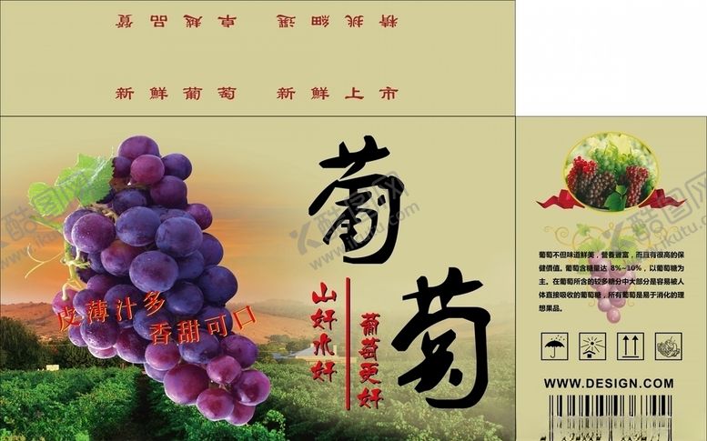 编号：69146910190659305118【酷图网】源文件下载-矢量葡萄水果包装箱