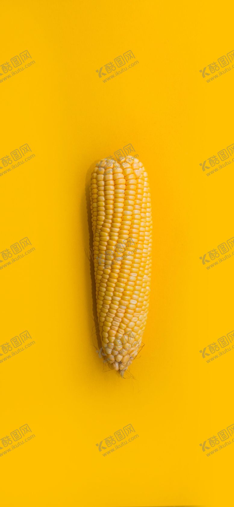 编号：68304309280930411700【酷图网】源文件下载-手机壁纸