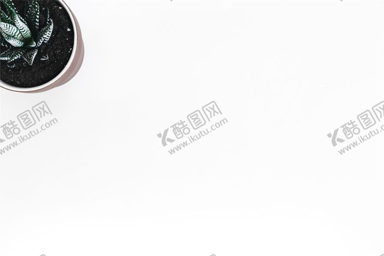 编号：46069810110733232267【酷图网】源文件下载-白色简约背景盆栽多肉
