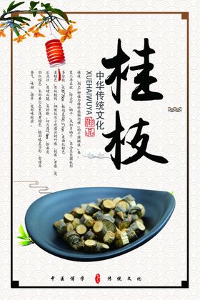 桂枝