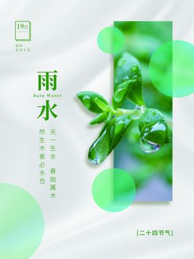 雨水飞机稿谷清明微信