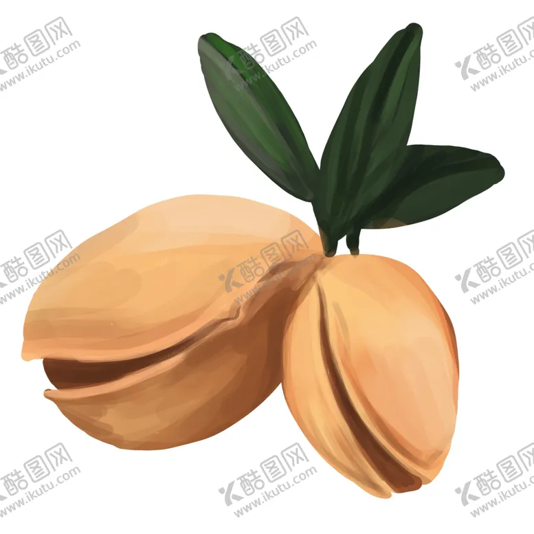 编号：37507704091911332722【酷图网】源文件下载-美味开心果大图插画