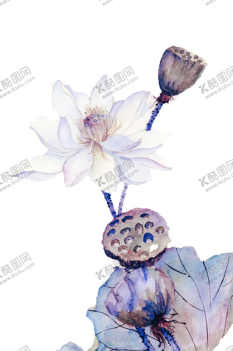 编号：60323910211013314665【酷图网】源文件下载-水墨荷花粉色荷花荷花意境