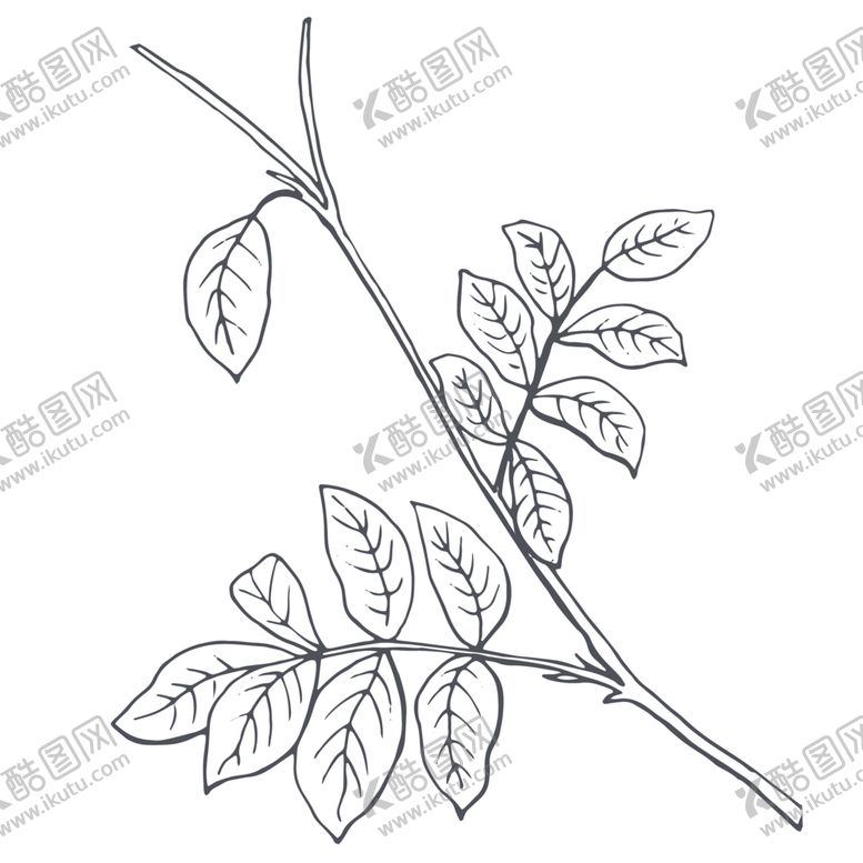 编号：31718809240222517361【酷图网】源文件下载-手绘植物