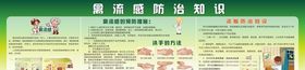 禽流感宣传栏