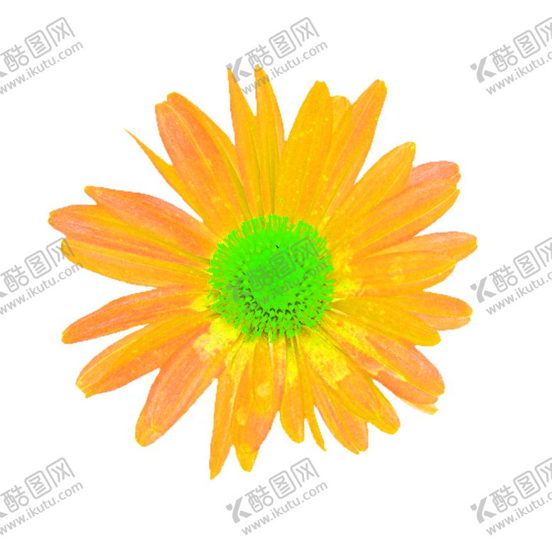 编号：71336606250612489742【酷图网】源文件下载-花素材