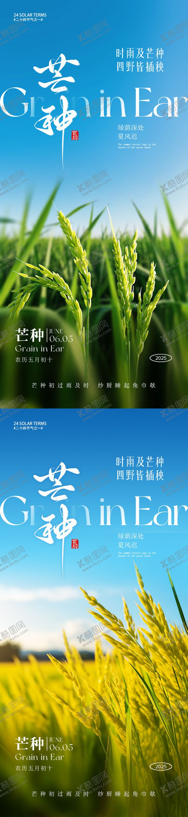 编号：11363506151830535847【酷图网】源文件下载-芒种海报