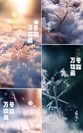 立冬小雪节气意境系列海报