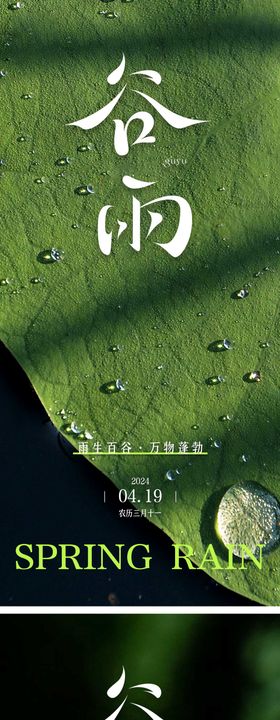 谷雨节气海报滴植物叶子二十四
