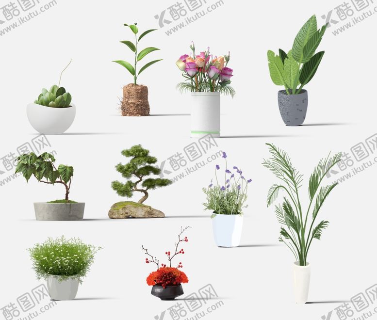 编号：44327210051344225152【酷图网】源文件下载-盆栽
