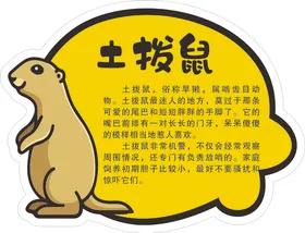土拨鼠简介
