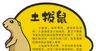 土拨鼠简介