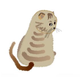 小猫