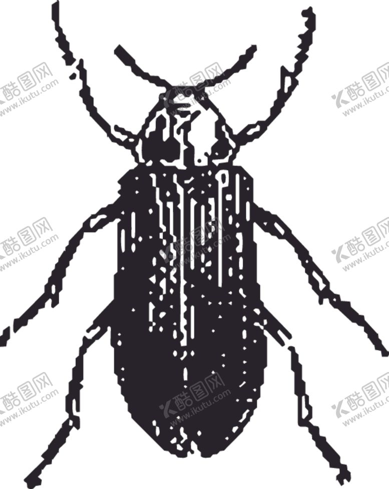编号：36323110190845338473【酷图网】源文件下载-自然昆虫标本插画