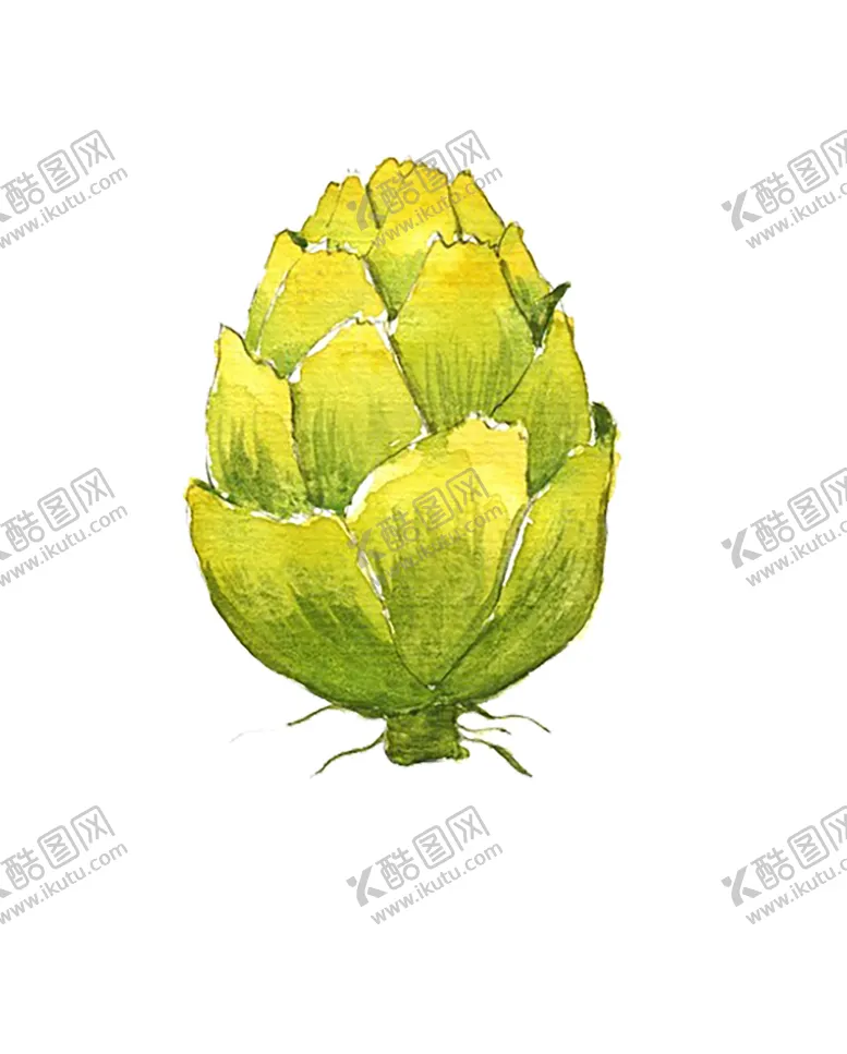 编号：81797210111020534688【酷图网】源文件下载-植物