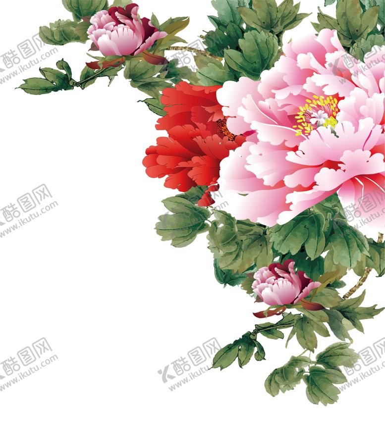 编号：23259410110317404638【酷图网】源文件下载-牡丹花