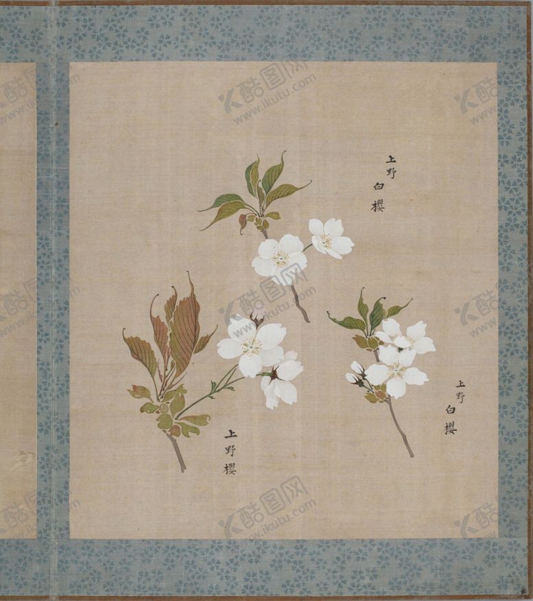 编号：34390104171310351983【酷图网】源文件下载-樱花