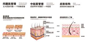 皮肤结构解剖示意图