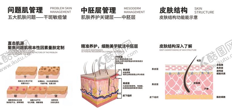 编号：23616904011820057375【酷图网】源文件下载-皮肤结构解剖示意图