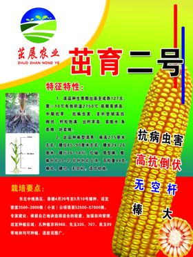 玉米海报