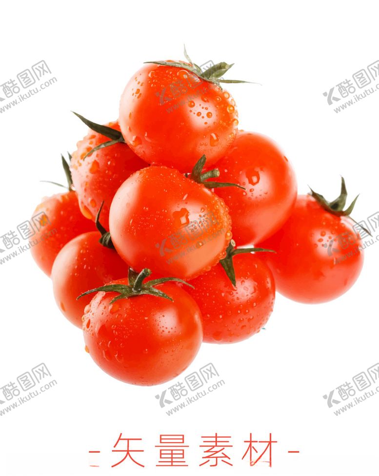 编号：46478310192123529410【酷图网】源文件下载-番茄西红柿