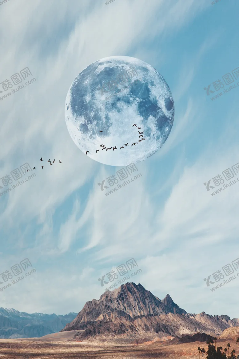 编号：83502707021051526822【酷图网】源文件下载-欧式装饰画