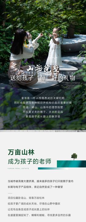 地产山海滨海别墅价值点长图