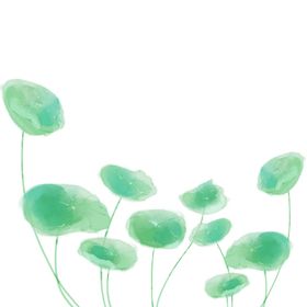 荷花素材海报夏日中国风