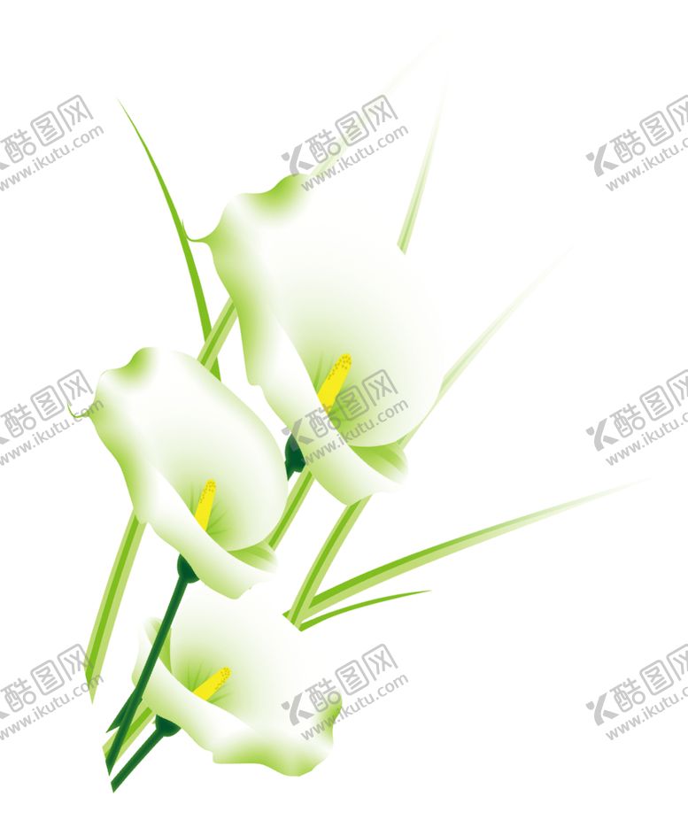 编号：21792107091248156777【酷图网】源文件下载-百合花