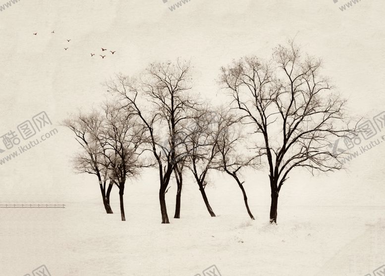 编号：89727509231640475712【酷图网】源文件下载-森林背景墙