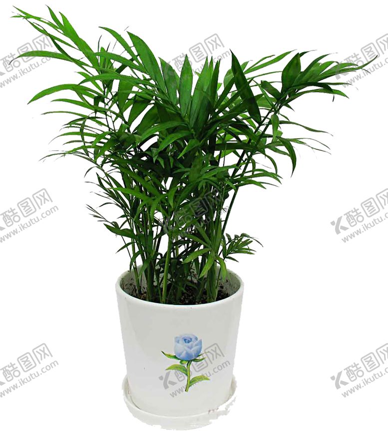 编号：60338307090200079255【酷图网】源文件下载-绿色植物