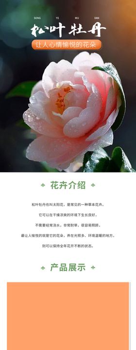 鲜花详情页