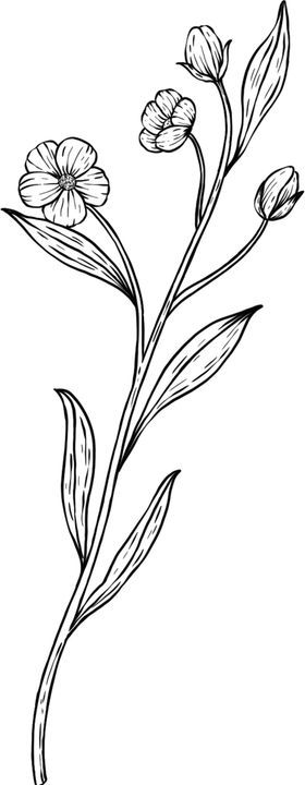 树枝绘画