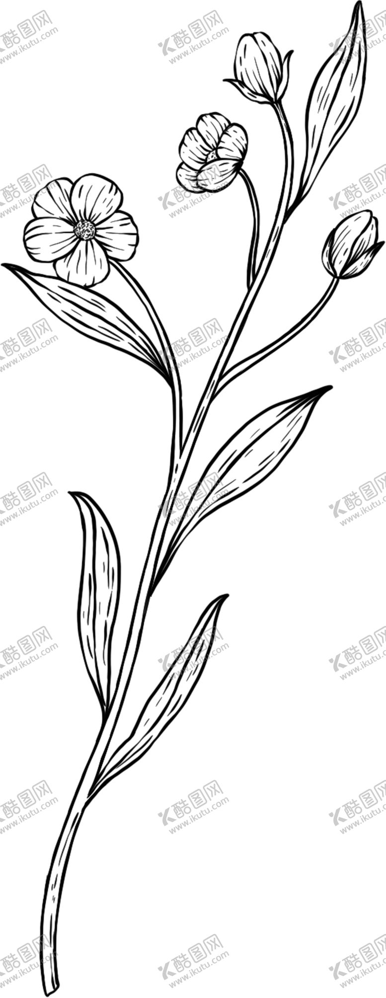 编号：37351205180857299375【酷图网】源文件下载-树枝绘画