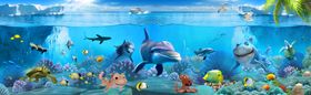 海底世界
