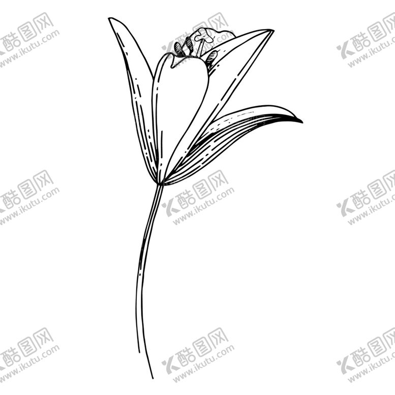 编号：27813609130111496390【酷图网】源文件下载-植物白描速写    欧式花纹花卉花草