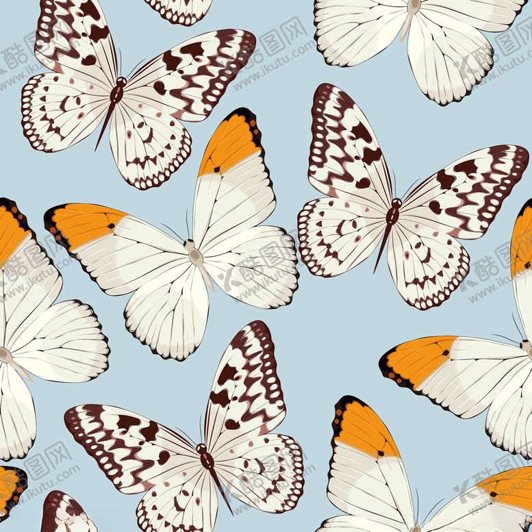 编号：34314501171057393947【酷图网】源文件下载-蝴蝶