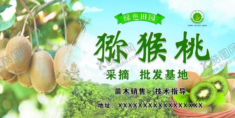编号：76859110180926444996【酷图网】源文件下载-猕猴桃