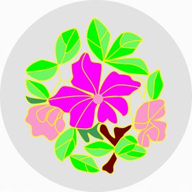 手绘矢量图插画简笔画24节气花