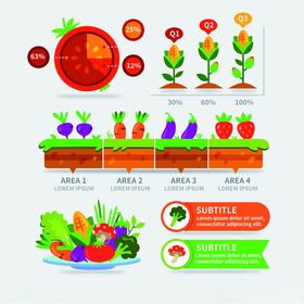 花卉信息图表元素集合