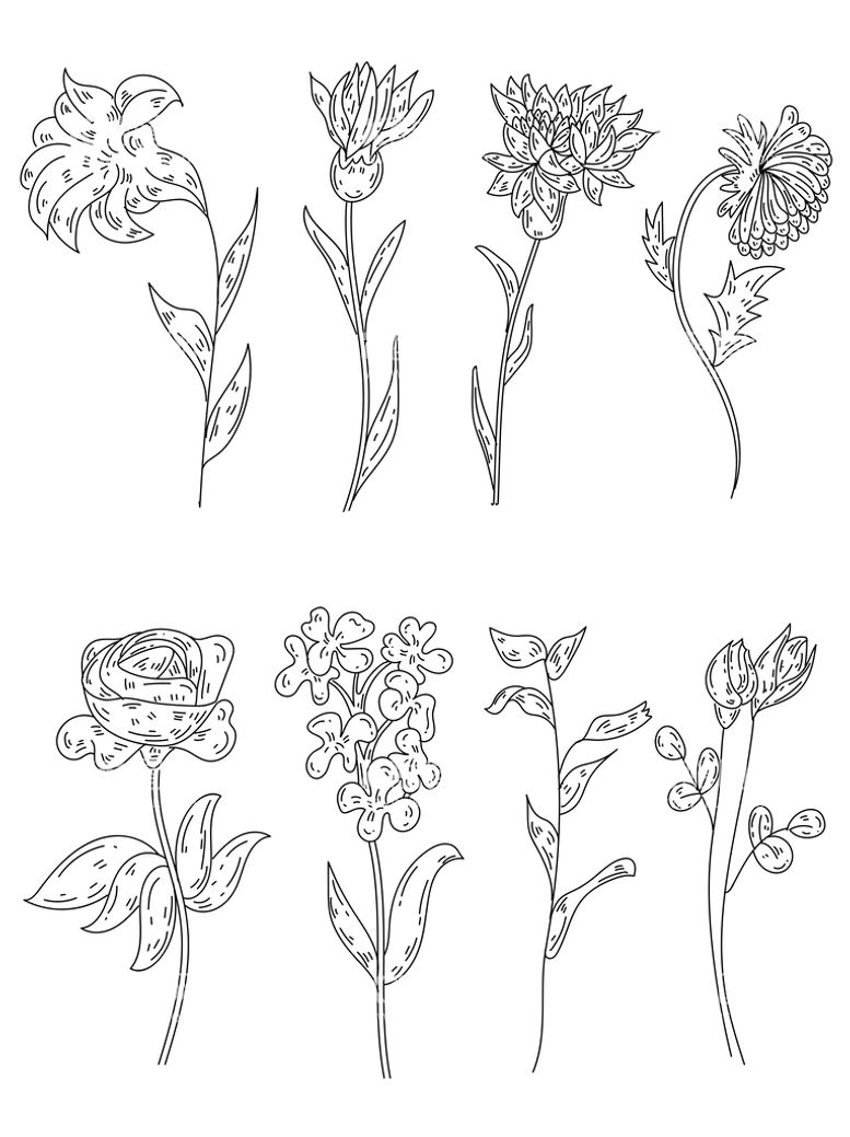 编号：13680209210714239458【酷图网】源文件下载-花植物手绘