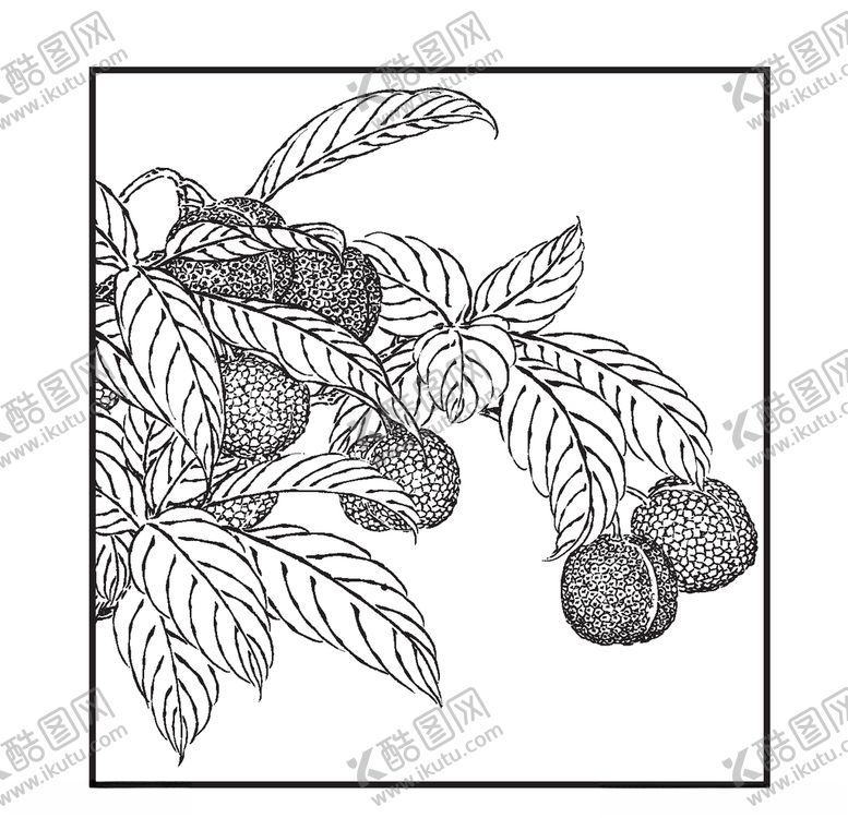 编号：37660610310427443232【酷图网】源文件下载-荔枝