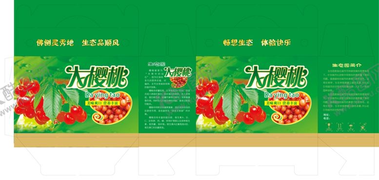 编号：99510710130421356217【酷图网】源文件下载-樱桃包装大樱桃水果箱