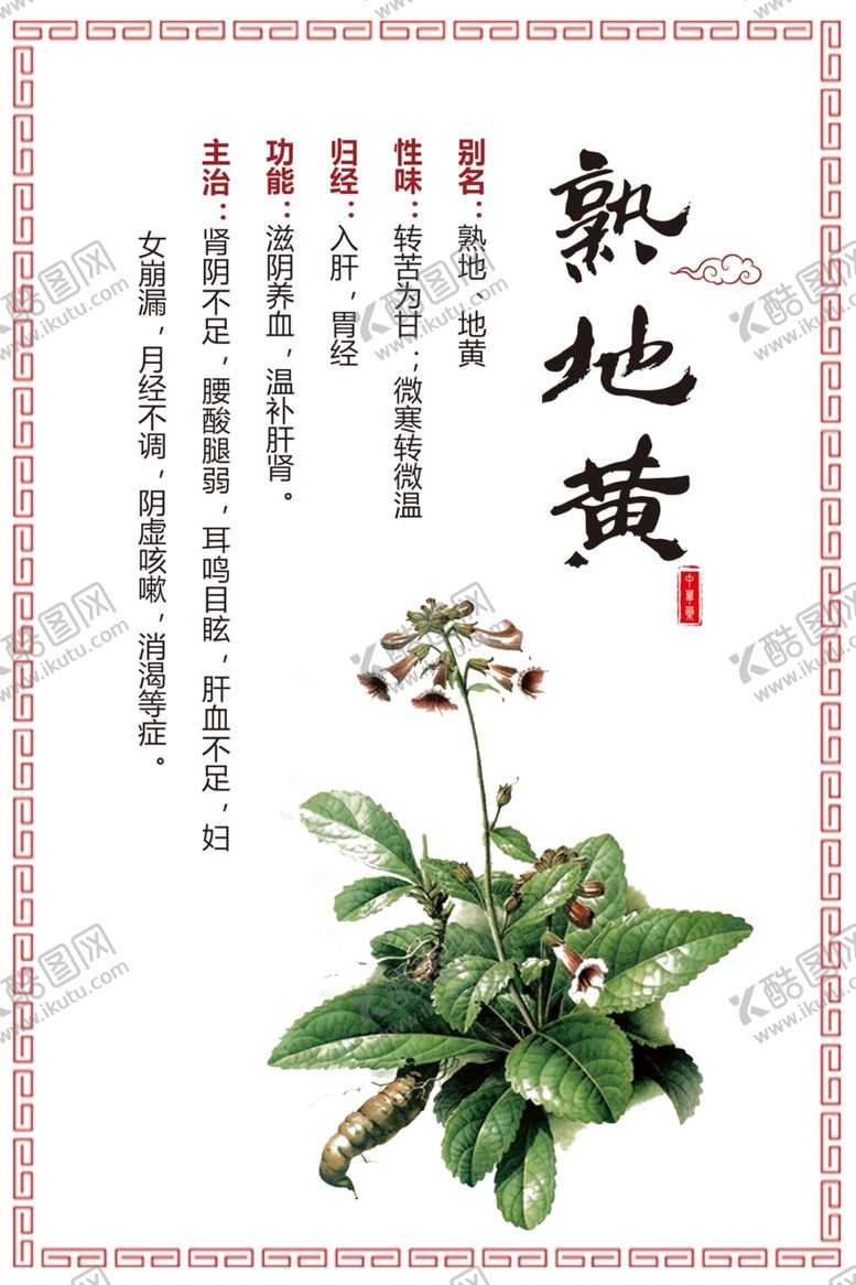 编号：72103707030310503254【酷图网】源文件下载-熟地黄草药